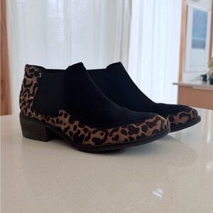 Matilda Jane Black Suede Chelsea Booties with Leopard Trim